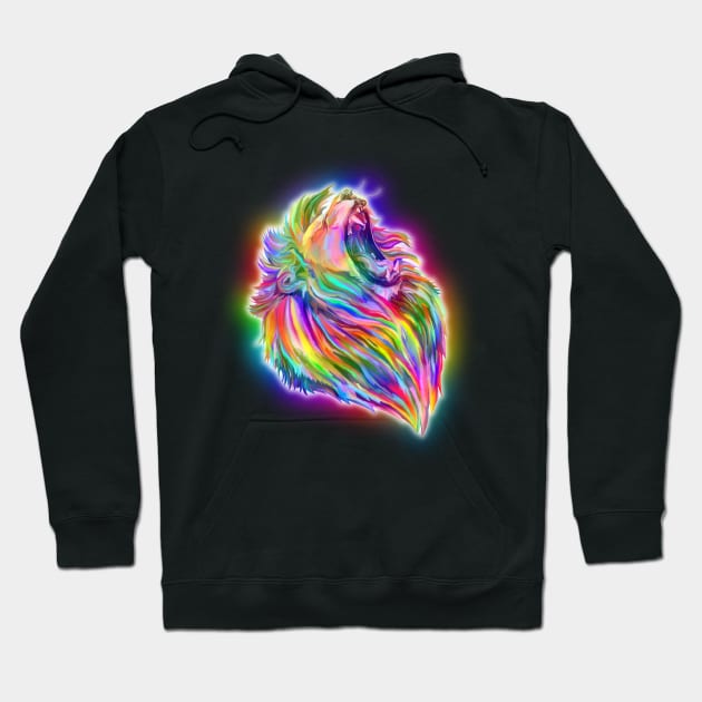Rainbow lion hoodie sales